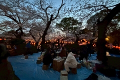 LINE_ALBUM_dtお花見_250405_42